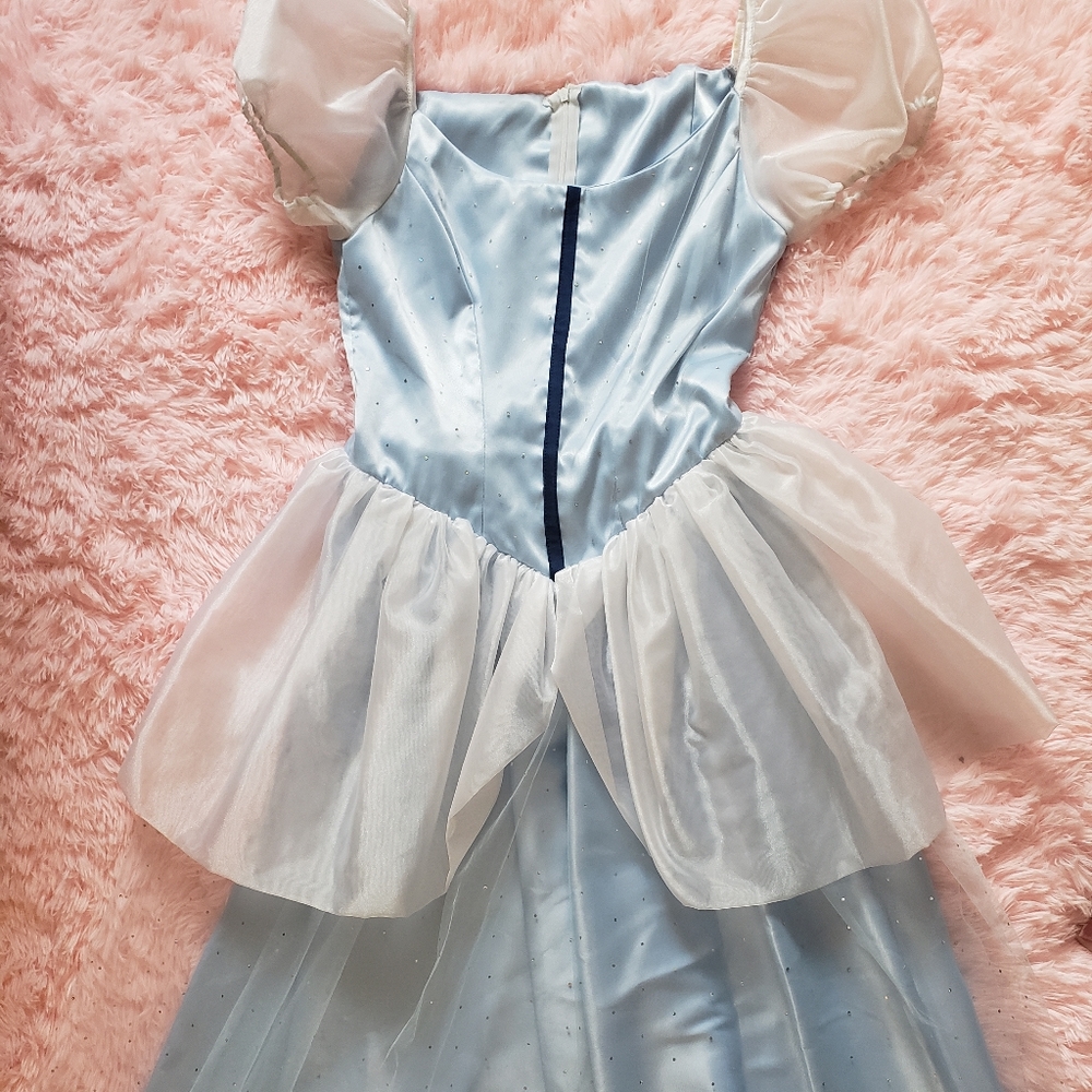 HANDMADE ADULT CINDERELLA COSTUME